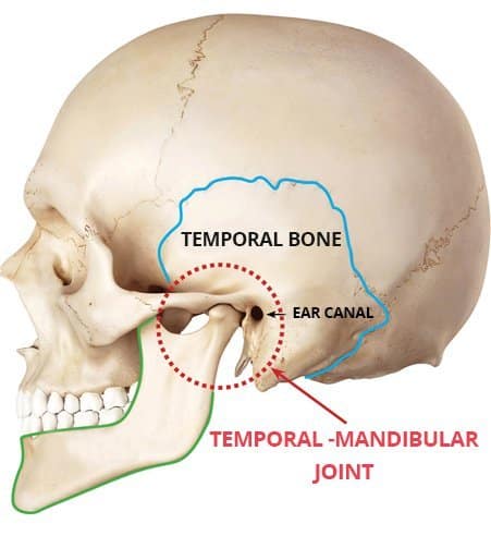 TMJ – Temporomandibular Joint